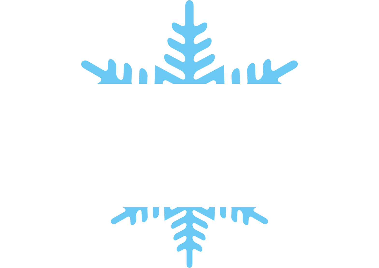 IJsmarkt Oosterhout
